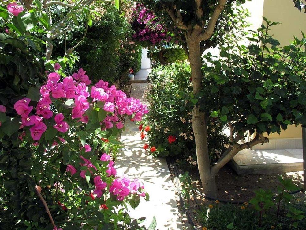 Rododafni Villas Χλώρακα Εξωτερικό φωτογραφία