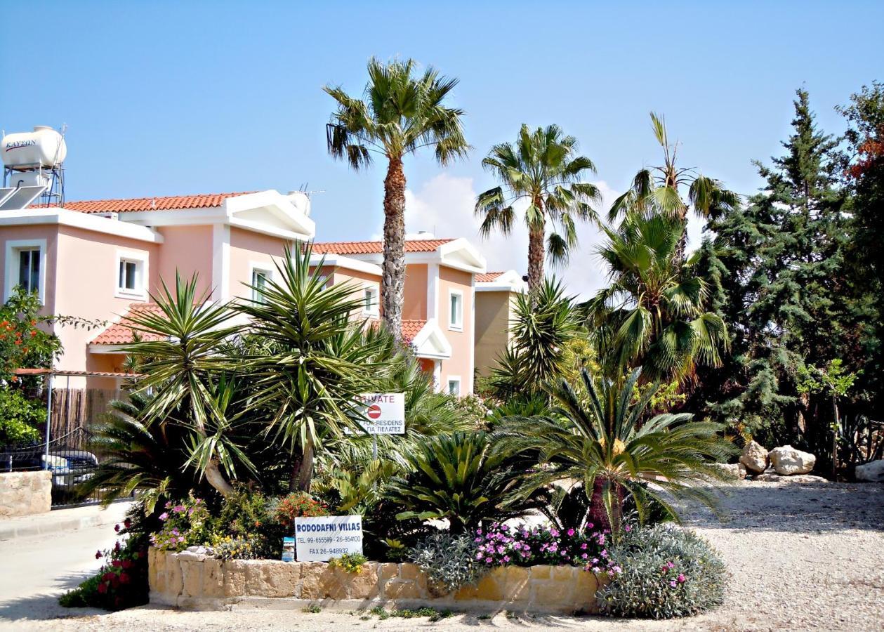 Rododafni Villas Χλώρακα Εξωτερικό φωτογραφία