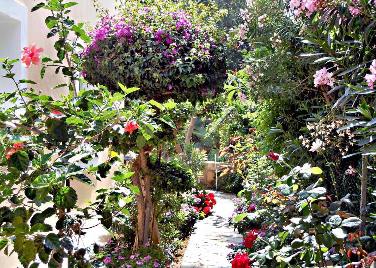 Rododafni Villas Χλώρακα Εξωτερικό φωτογραφία