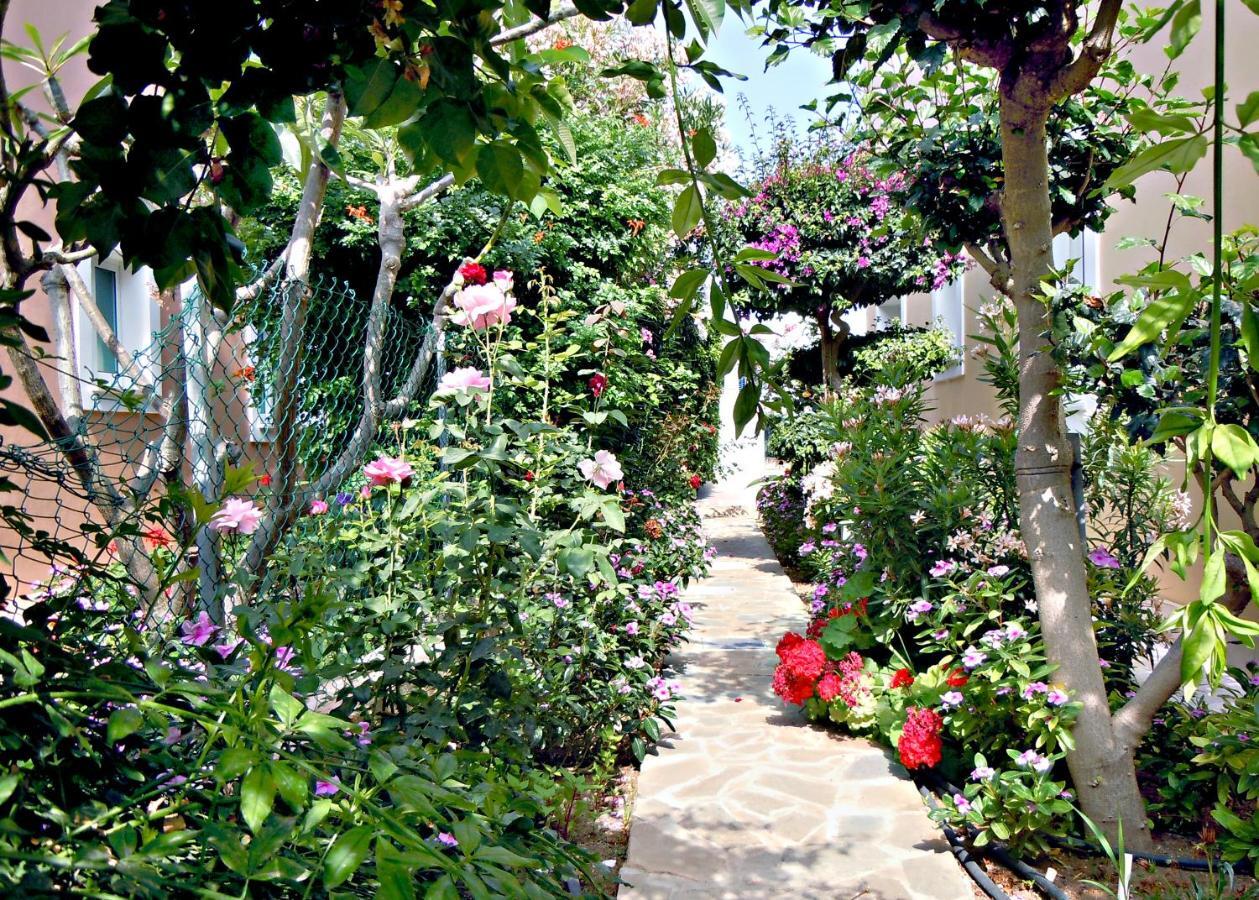 Rododafni Villas Χλώρακα Εξωτερικό φωτογραφία